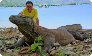 Paket Wisata Pulau Komodo Terbaru