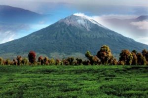 Travellers Wajib Tahu Waktu Terbaik Untuk Mendaki Gunung di Indonesia